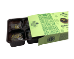 Biscuiti DUBAI COOKIES cu Fistic, Ciocolata si Kataif, PELUSO 230 GR